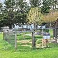 14579 Twp Rd 680 - Photo 24