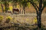 1 Moose Hollow - Photo 47