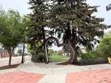 5105 50 Avenue - Photo 4