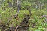 231028 Forestry Way - Photo 38