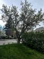 4538 Montgomery Avenue - Photo 43