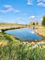 45056 Range Road 275 - Photo 9