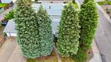 2015 24 Street - Photo 37