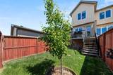 158 Skyview Point Crescent - Photo 30