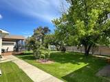 920 5 Avenue - Photo 29