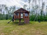 15425 Hwy 697 - Photo 44
