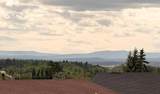 4940 49 Street - Photo 47