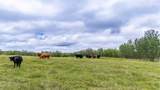 49118 Hwy 759 - Photo 43