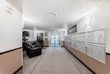 21 Dover Point - Photo 42