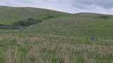  Hwy 524 - Photo 2