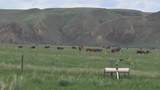  Hwy 524 - Photo 3