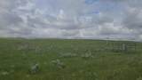  Hwy 524 - Photo 5