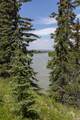 192 Crawford Drive - Photo 47