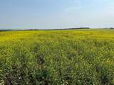  Range Road 263 - Photo 4