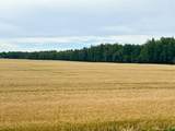 76317 Highway 49 - Photo 40