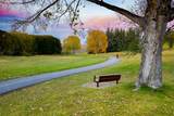 113 Hounslow Drive - Photo 18