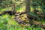 61080 Larsen Pasture Road - Photo 8