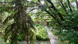 8602 95 Street - Photo 39