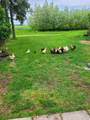 452063 Range Road 242 - Photo 24