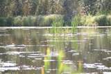 9660 88 Street - Photo 4