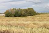 9300 101 Street - Photo 13