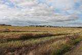 9300 101 Street - Photo 7