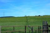  Highway #5 - Photo 6