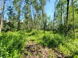 Lot 4 Campsite Road - Photo 1