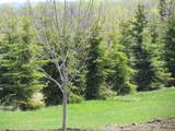 420054 Range Road 283 - Photo 5