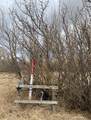 14043 Twp Rd 393 - Photo 13