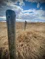 14043 Twp Rd 393 - Photo 5
