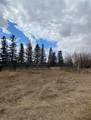 14043 Twp Rd 393 - Photo 9