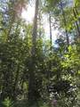 692059 RGE RD 104A Wapiti River - Photo 9