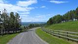 290254 96 Street - Photo 29