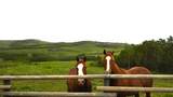 290254 96 Street - Photo 4
