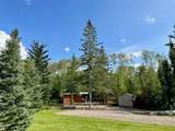 617 Diamond Willow Drive - Photo 3