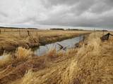 4810 52 Avenue - Photo 2