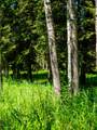  Water Valley - Photo 22
