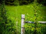  Water Valley - Photo 24