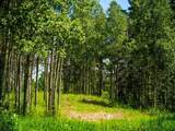  Water Valley - Photo 6