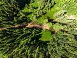  Water Valley - Photo 7