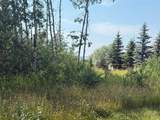 520 Diamond Willow Drive - Photo 1