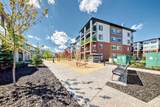 6 Merganser Drive - Photo 1