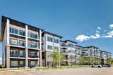 6 Merganser Drive - Photo 9