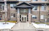 10 Panatella Road - Photo 1