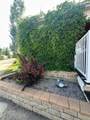 25054 South Pine Lake Road - Photo 3