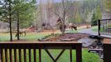 106 Stewart Creek Landing - Photo 5