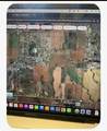  Range Rd 283 - Photo 1