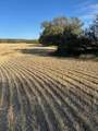  Twship Road 374 - Photo 6