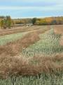 Portion of NE 2 74 9 & NW 2 74 9 W6 - Photo 15